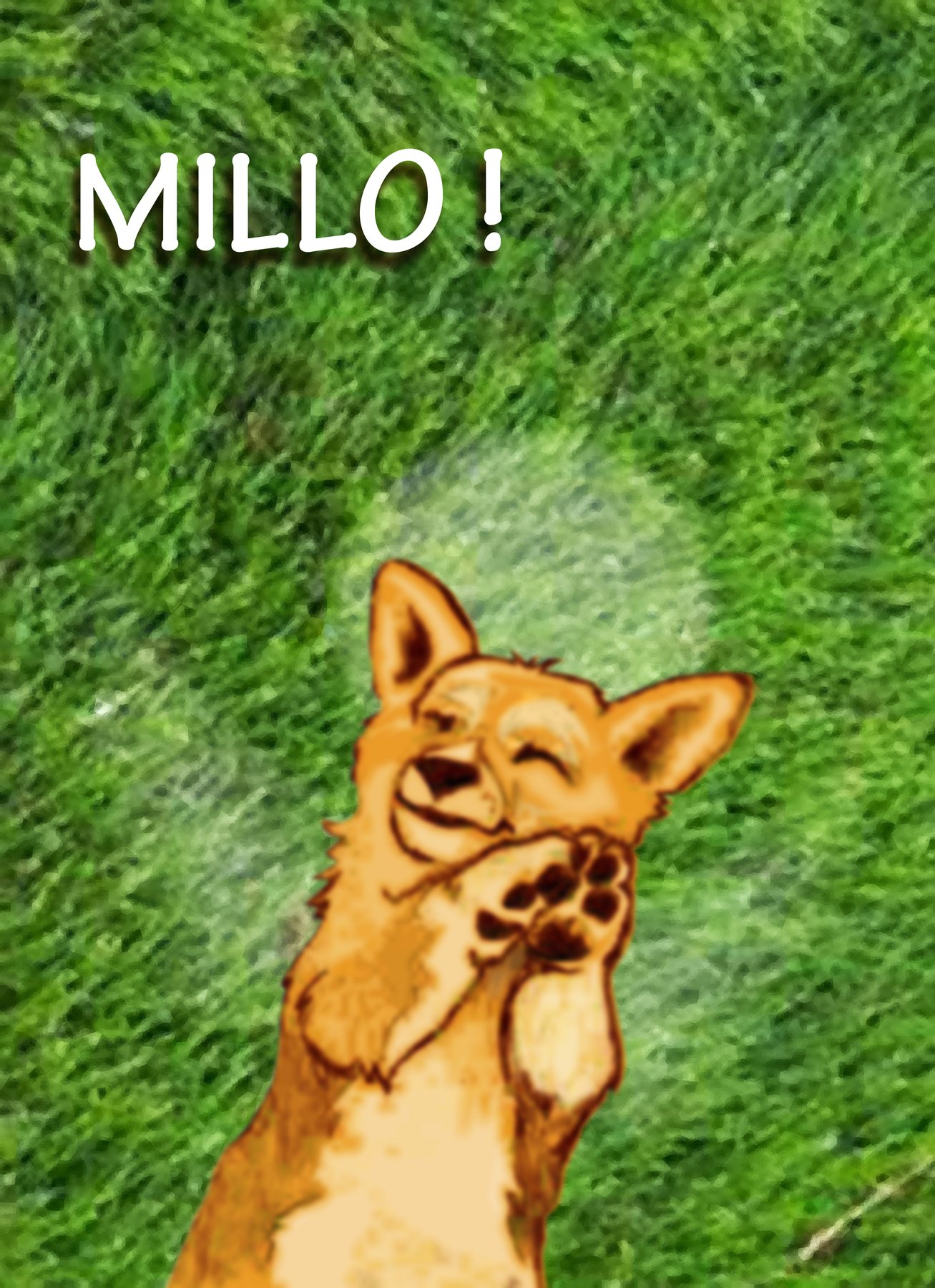 Welsh Corgi PUP Finished